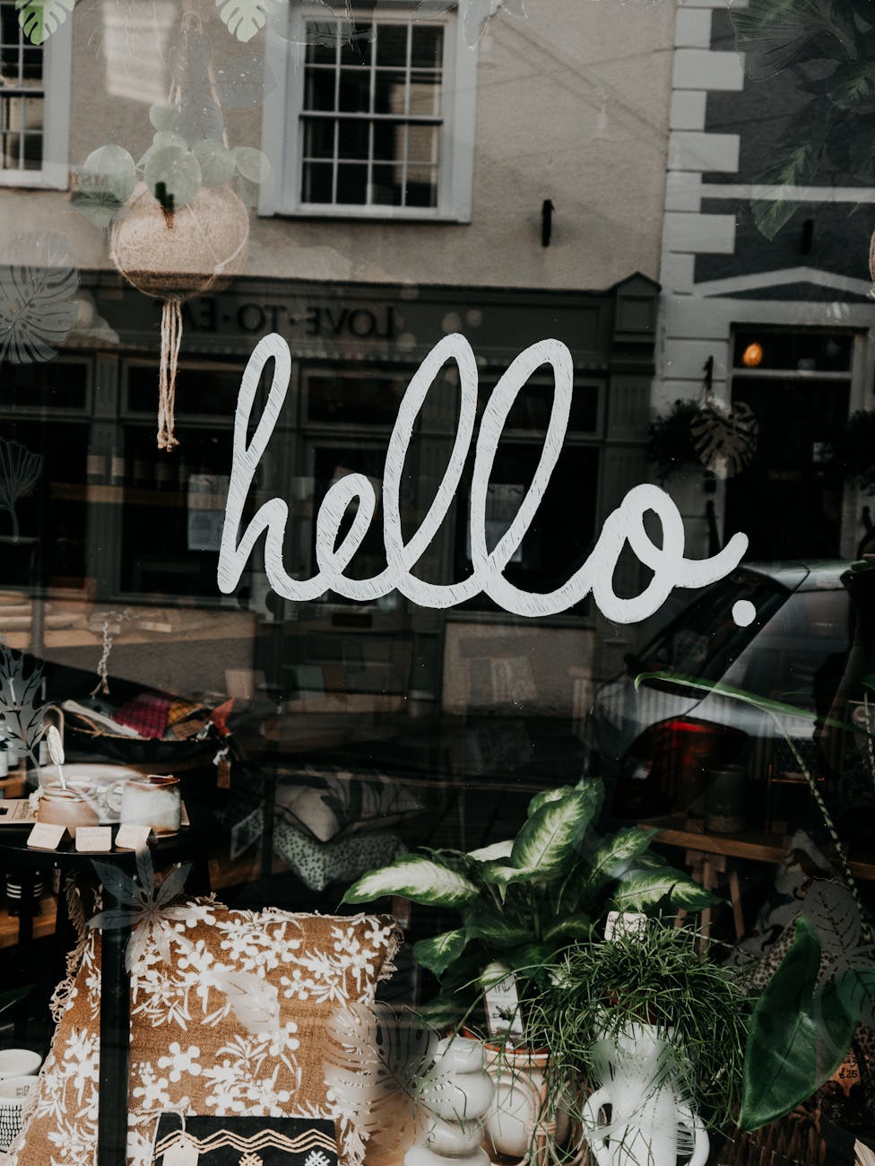 Urban Birdwatching: A Chef’s Perspective